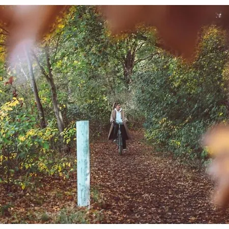 Resort 2 - 4-person Wilbrink Voorthuizen