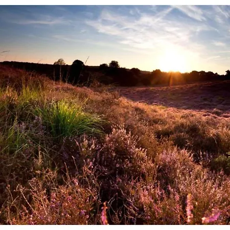 2 - 4-person Wilbrink Resort Voorthuizen