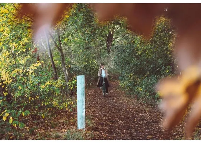 Ośrodek wypoczynkowy 2 - 4-person Wilbrink Voorthuizen