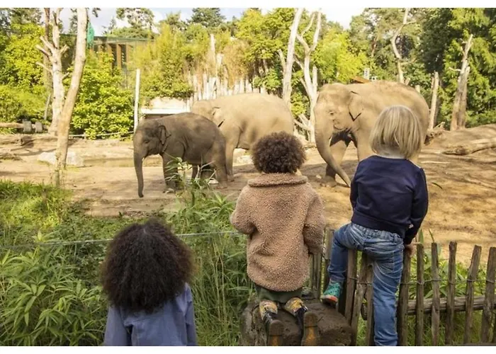 2 - 4-person Wilbrink Ośrodek wypoczynkowy