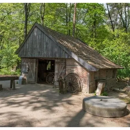 Resort 2 - 4-person Wilbrink *