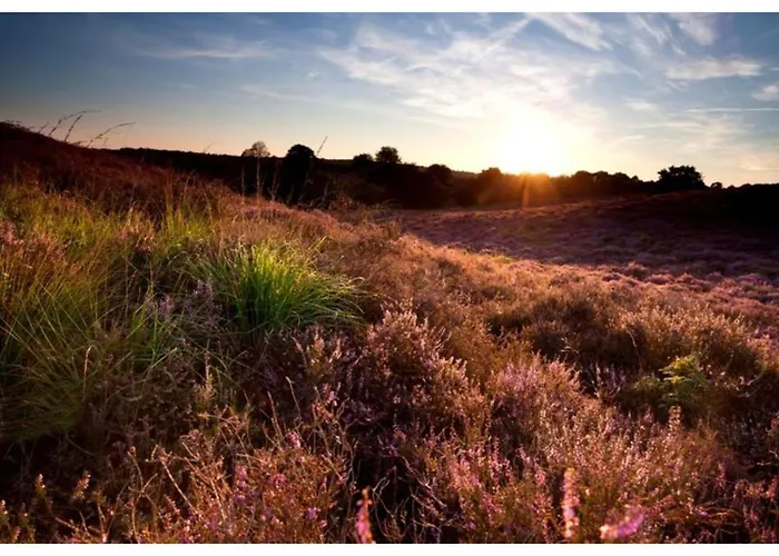 2 - 4-person Wilbrink 度假村 福尔特赫伊曾